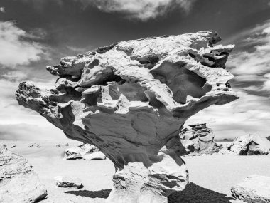 Bolivya çölünde bir izole kaya oluşumu Arbol de Piedra (taş ağaç) olduğunu