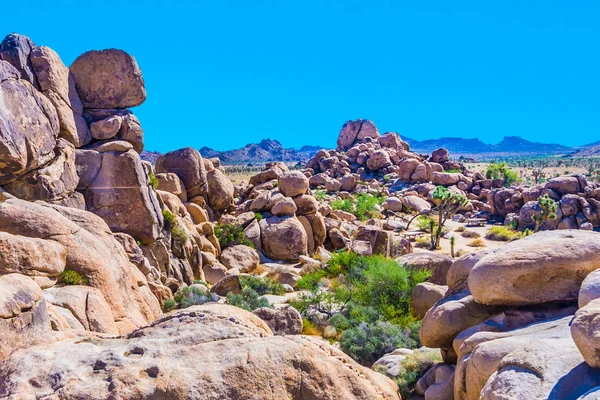 Vackra Stenar Joshua Tree National Park Gömda Dalen — Stockfoto