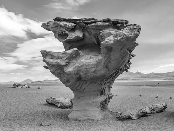 Arbol Piedra Stenen Boom Een Geïsoleerde Rotsformatie Bolivia — Stockfoto