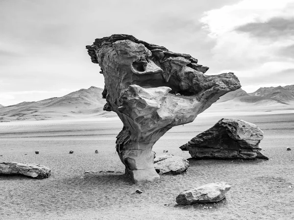 Arbol Piedra Stenen Boom Een Geïsoleerde Rotsformatie Boliviaanse Woestijn — Stockfoto