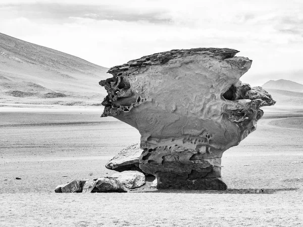 Arbol Piedra Stenen Boom Een Geïsoleerde Rotsformatie Boliviaanse Woestijn — Stockfoto