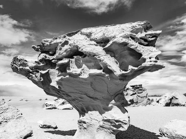 Arbol Piedra Stenen Boom Een Geïsoleerde Rotsformatie Boliviaanse Woestijn — Stockfoto