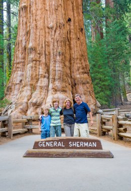 mutlu aile sequoia national park için yapılan genel sherman sekoya ağacının fromt poz sahiptir