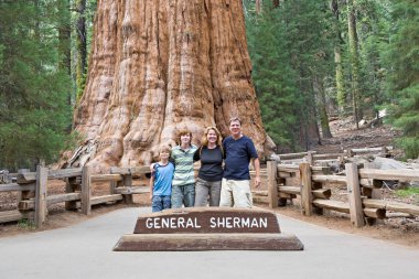 mutlu aile sequoia national park için yapılan genel sherman sekoya ağacının fromt poz sahiptir
