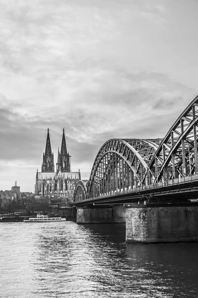 Köln Katedrali Manzarası Almanya — Stok fotoğraf