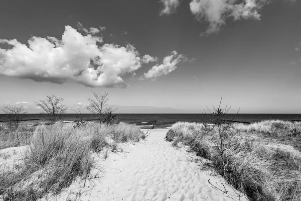 Levee Met Zandpad Naar Strand Aan Baltische Zee — Stockfoto