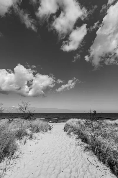 Levee Met Zandpad Naar Strand Aan Baltische Zee — Stockfoto