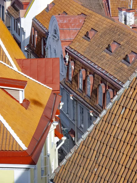 Detalhe Arquitetura Histórica Tallinn Estonia — Fotografia de Stock