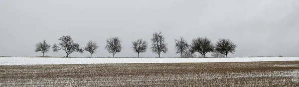 Wiersz Drzewa Zimie Szare Niebo Częściowo Śniegu Pola Pierwszym Planie — Zdjęcie stockowe