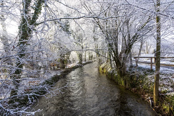 River Wuerm Munich Snow Covered Trees — Stock Photo, Image