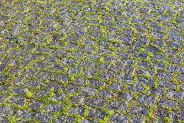 Arnavut kaldırımı taş yosun ile harmonik desen