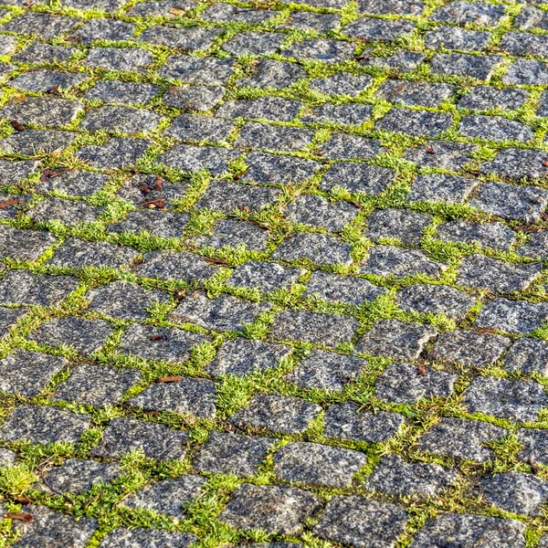 Patrón Armónico Piedras Guijarro Con Musgo — Foto de Stock