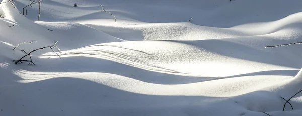 Detail Sněhu Lese Zimě — Stock fotografie