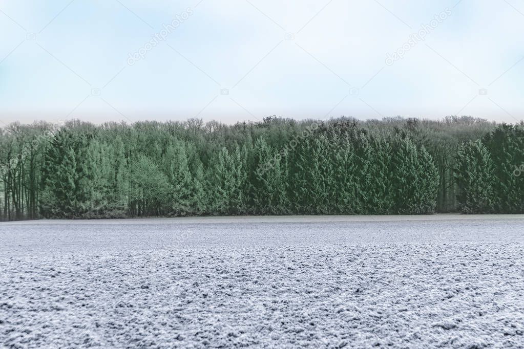 panoramic winter landscape in rural area in Idstein, Germany