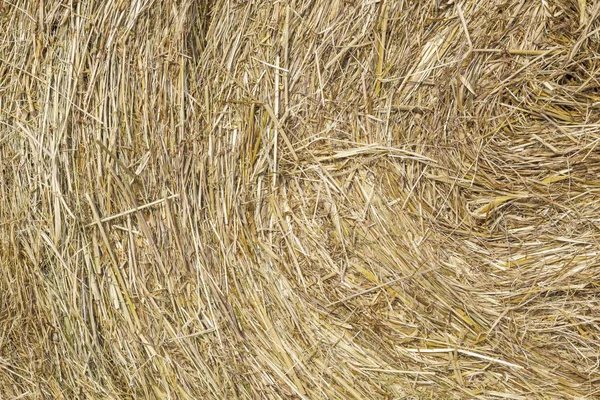 Detail Bale Straw Golden Color — Stock Photo, Image