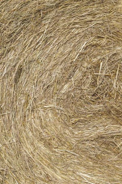 Detail Bale Straw Golden Color — Stock Photo, Image