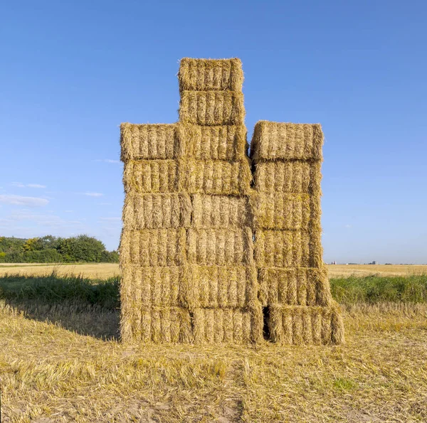 Hay Bales Field Fresh Harvest Blue Sky — Stock Photo, Image