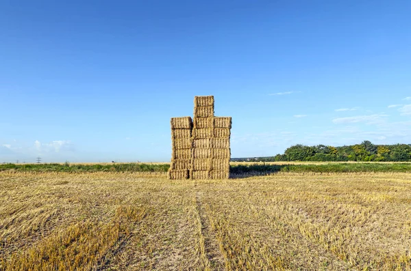 Hay Bales Field Fresh Harvest Blue Sky — Stock Photo, Image