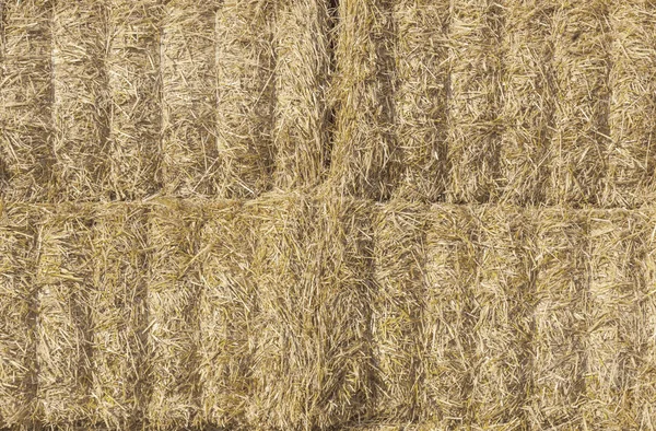 Detil Stacked Hay Bales Background — Stock Photo, Image