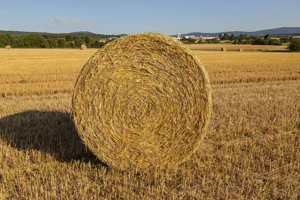 Impilati Balle Fieno Rotonde Sfondo — Foto Stock