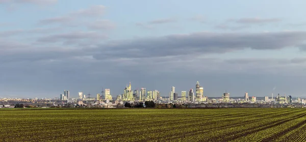 Skyline Van Frankfurt Door Nacht Met Wolken Wolkenkrabber Met Veld — Stockfoto