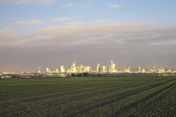 skyline of Frankfurt by night with clouds and skyscraper with field