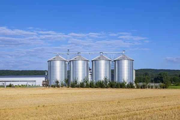 Four Silver Silos Field Harvest Blue Sky Stock Picture