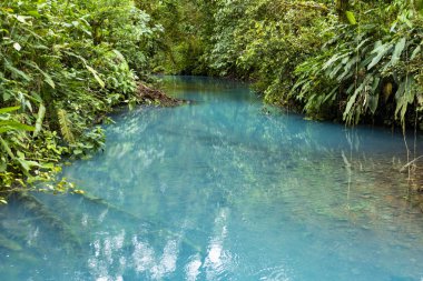 yağmurda doğal Rio Celeste 