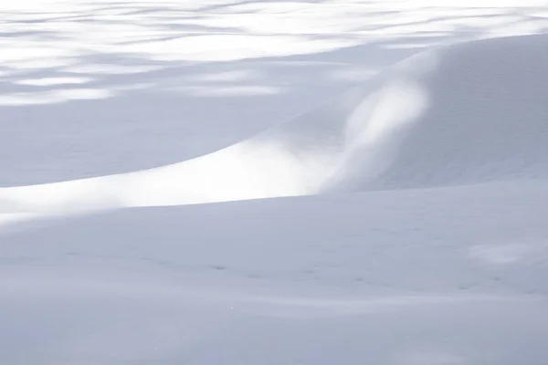 セコイア国立公園の雪のパターン — ストック写真