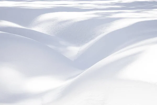 Snö mönster i Sequoia nationalpark — Stockfoto