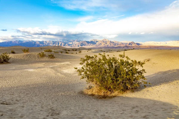 Mesquite mieszkania w dolinie śmierci pustyni w świetle zachodu słońca — Zdjęcie stockowe