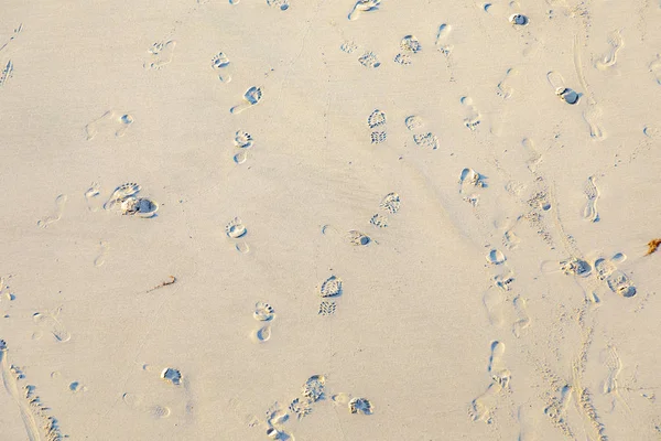 Footsteps at the beach as vacation symbol — Stock Photo, Image