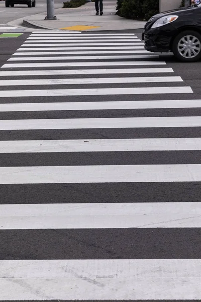 白い横断歩道 — ストック写真