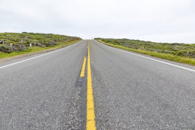 Californ sarı medyan şeritile cabrillo karayolu detay