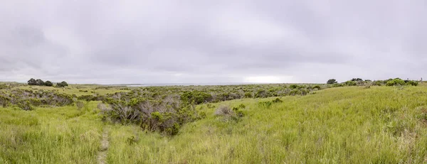 Kaliforniya'da yeşil çayırları ile cabrillo karayolu — Stok fotoğraf