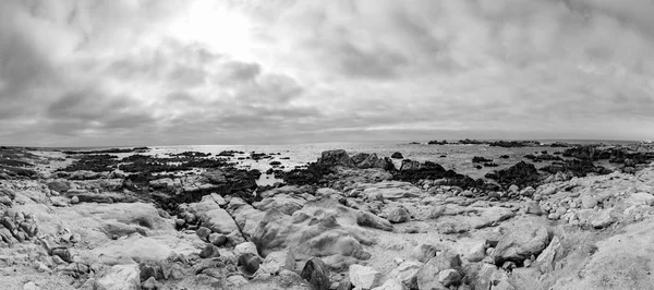 Paisagem de praia cênica com rochas em dunas Asilomar, Califórnia — Fotografia de Stock