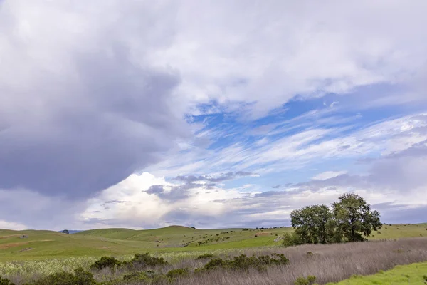 Schilderachtig landschap op Cabrillo Highway met weiden en Scenic Sky — Stockfoto