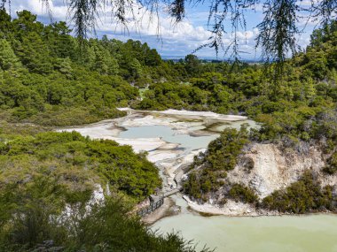 Kaplıcalar lake Rotorua, Yeni Zelanda.