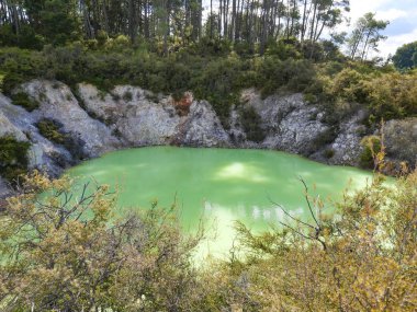 Yeni Zelanda Rotorua sıcak göl 