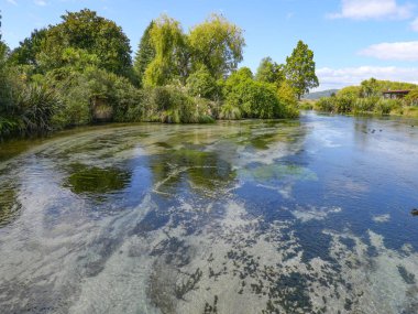 Hamurana Springs, Rotorua, Yeni Zeala kristal berraklığında suları