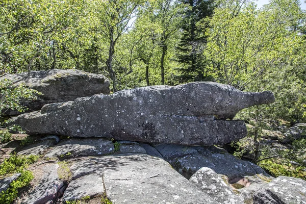 Reptilienfelsen am Taenchel-Wanderweg in der Nähe von ribeauville — Stockfoto