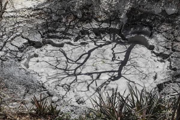 Boiling mud pools with vapour bubbles, Guanacaste province, Rinc — Stock Photo, Image