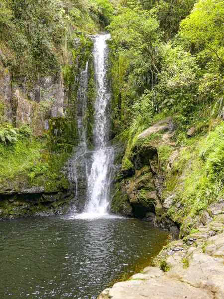 Scenic Kaituna River, Rotorua  in the tropical forest in New Zea — Stock Photo, Image