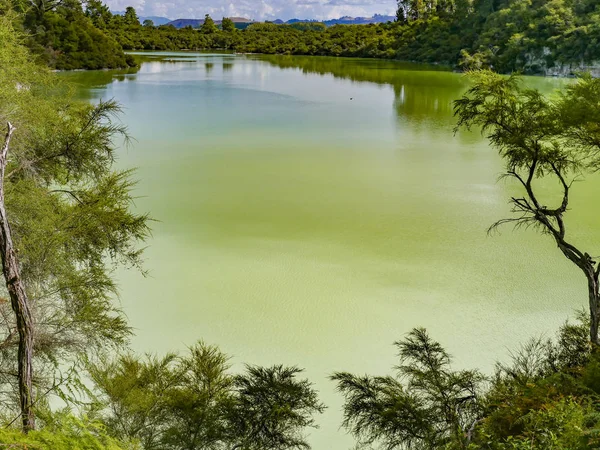 Lago de aguas termales en Rotorua, Nueva Zelanda . —  Fotos de Stock