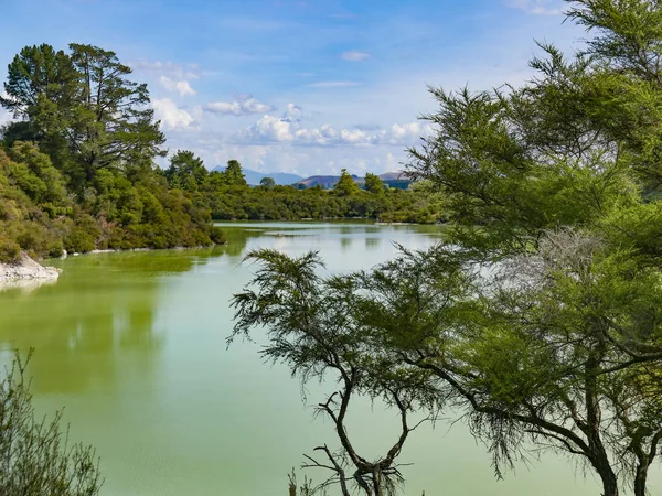 Horké prameny jezero v Rotorua, Nový Zéland. — Stock fotografie