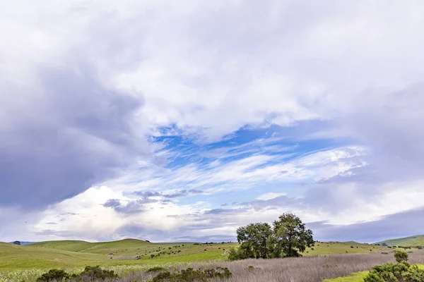Meadows ve doğal gökyüzü ile Cabrillo karayolu doğal manzara — Stok fotoğraf