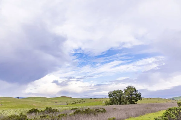 Meadows ve doğal gökyüzü ile Cabrillo karayolu doğal manzara — Stok fotoğraf