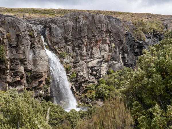 Cascade pittoresque en Nouvelle-Zélande au printemps — Photo