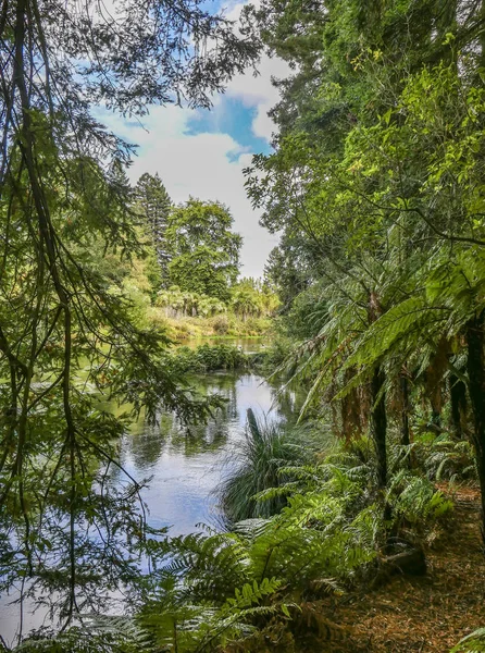 Hamurana Springs, Rotorua'nın berrak suları — Stok fotoğraf