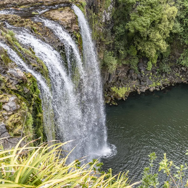 Whangarei Fall — Stock Photo, Image